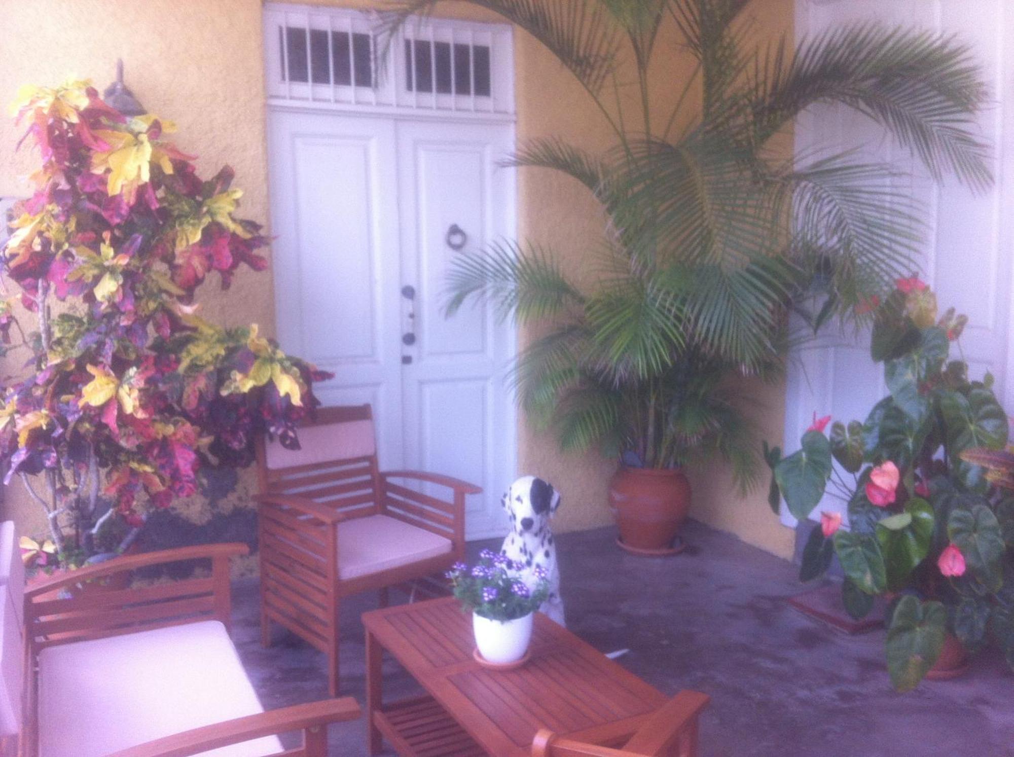 Atlantic Views Apartment Punta Del Hidalgo Luaran gambar